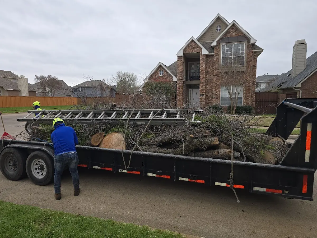 Expert Tree Fertilization with proper safety equipment in Purmela